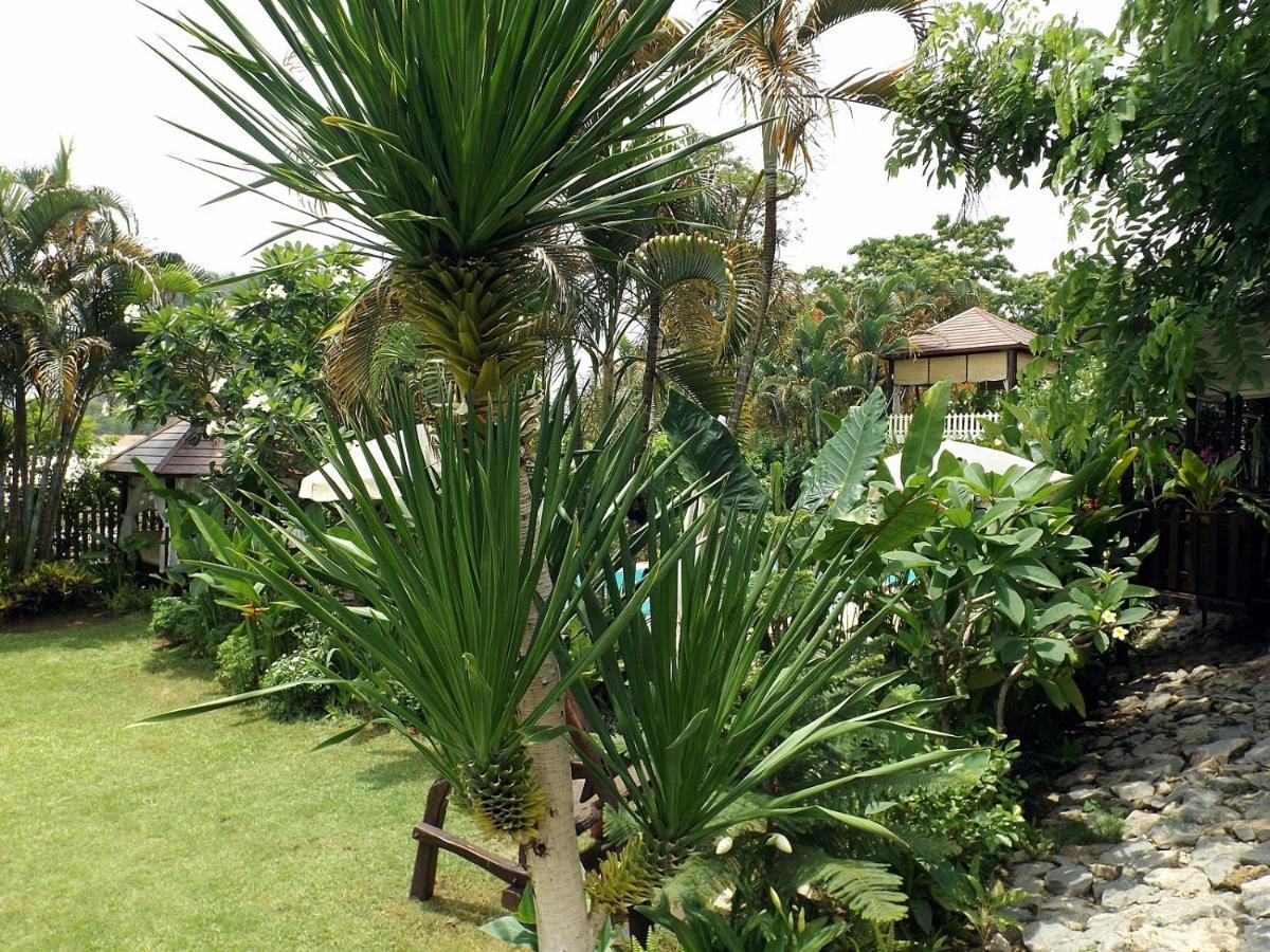 Homestay Chiangrai Chiang Rai Luaran gambar